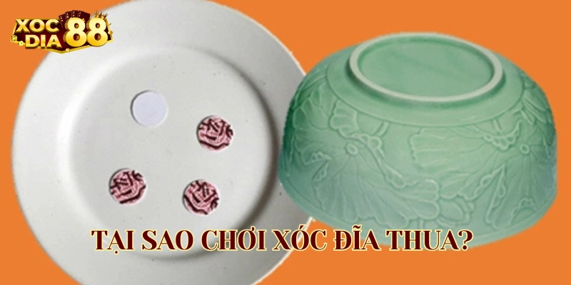 Tại Sao Chơi Xóc Đĩa Thua lý do là gì