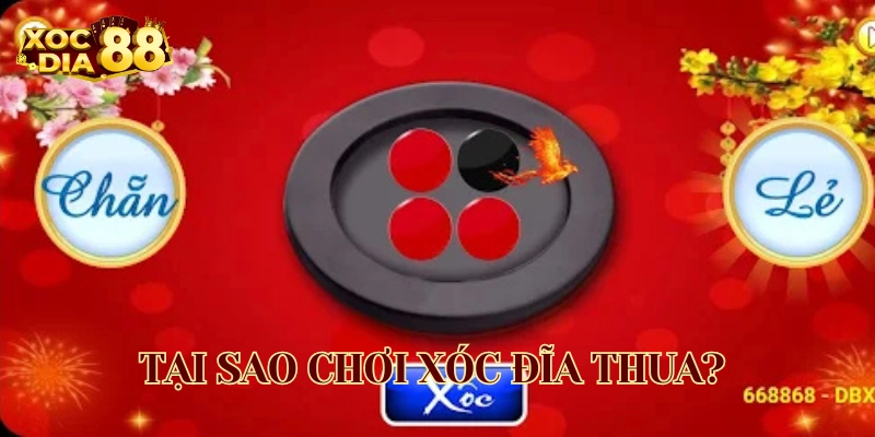 Tại Sao Chơi Xóc Đĩa Thua?